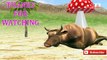 ABC song | Cow cartoon ABC songs for children | Cartoon Nursery Rhymes | Fun Learning Videos