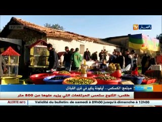 مجتمع   طبق الكسكس ملك أطباق إحتفالات يناير لدى القبائل