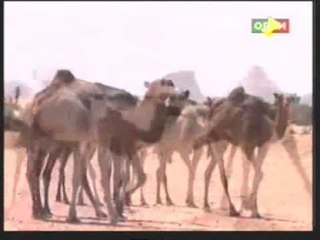 Gros plan sur l'ensablement du fleuve Niger en marge du COP 21 à Paris.