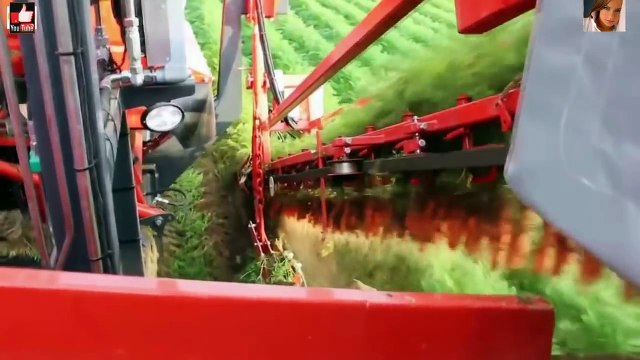 Шок. Это видео потрясло весь мир. Смотреть всем.