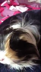 angel getting her hair blowed dried