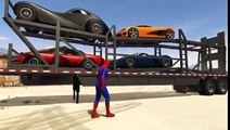 Cars Transportation by Funny SUPERHERO Spiderman in Cartoon with COLORS TRUCKS Nursery Rhyme Songs