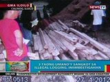 BP: 3 taong sangkot sa illegal   logging sa Iloilo,   iniimbestigahan