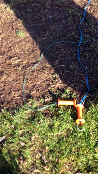 Loulou en forme_1_13jan17