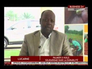 Business 24/Lucarne   Palmier à huile   solidaridad dans la durabilité