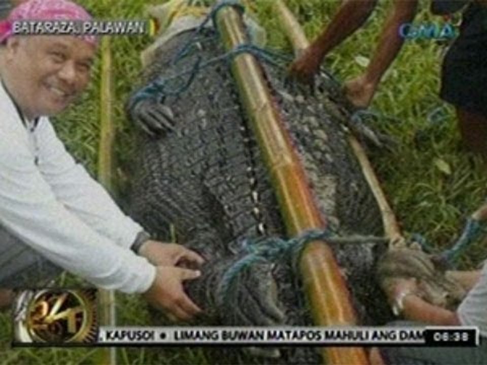24 Oras: Panayam kay: Bernardo Francisco Sr.-Palawan Wildlife Rescue and Conservation Center