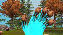 Top 10 Lion 3D Animated Finger Family Rhymes For Children | Lion Finger Family Rhymes