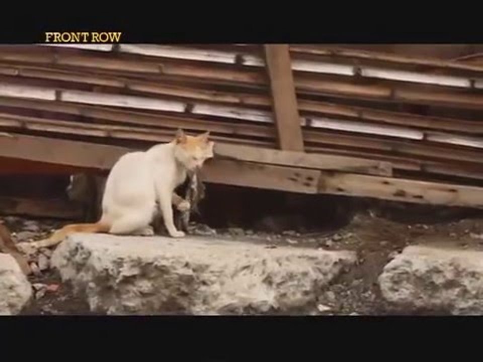 Front Row: Bente Dos