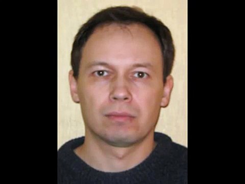 Попугай елозит на кошке Приколы про кошек Приколы про попугаев Юмор