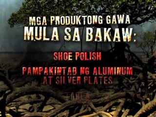 Kalakaran ng bakaw sa Reporter's Notebook