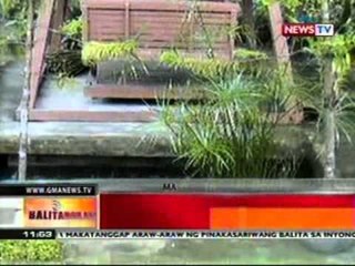 BT: Halos araw-araw na pag-ulan sa Bohol, naranasan