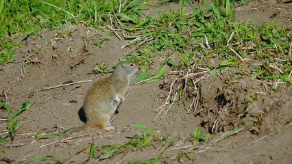 Yellowstone 2017 S01E03 The Blazing Summer