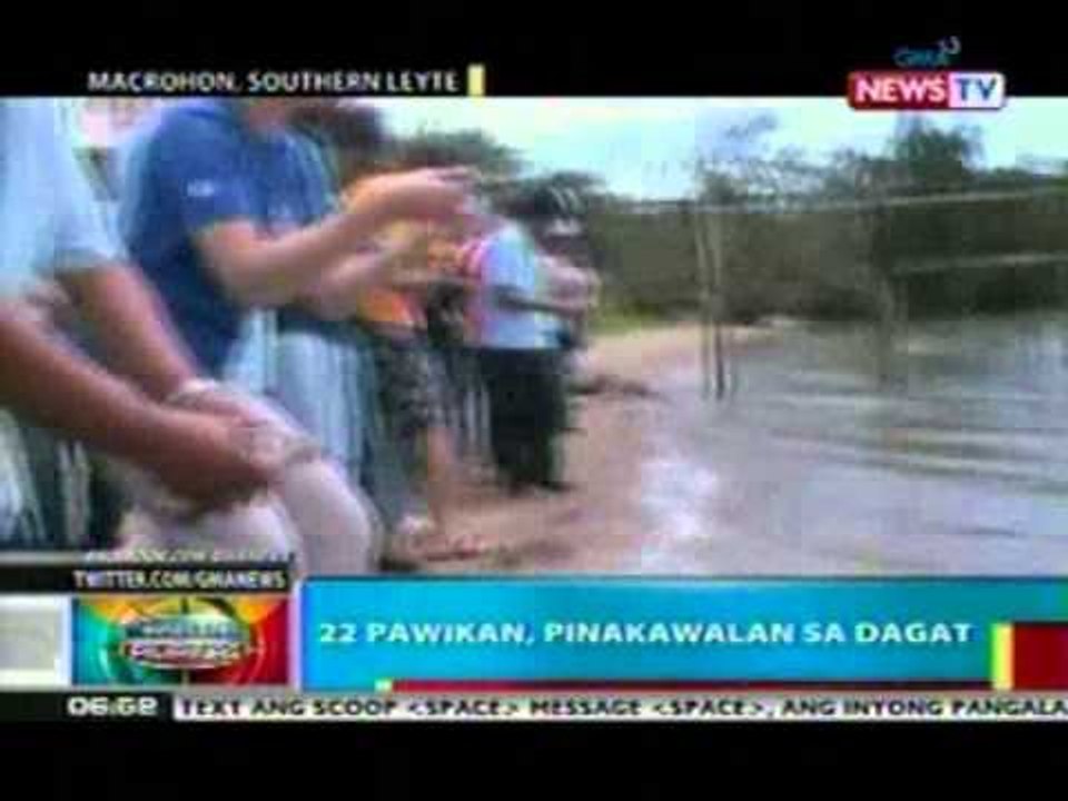 BP: 22 pawikan, pinakawalan sa   dagat