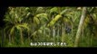 Kong: Skull Island International Trailer #1| Movieclips Trailers