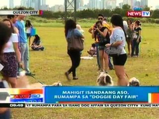 NTG: Mahigit isandaang aso, rumampa sa 'Doggie Day Fair' sa QC (030512)
