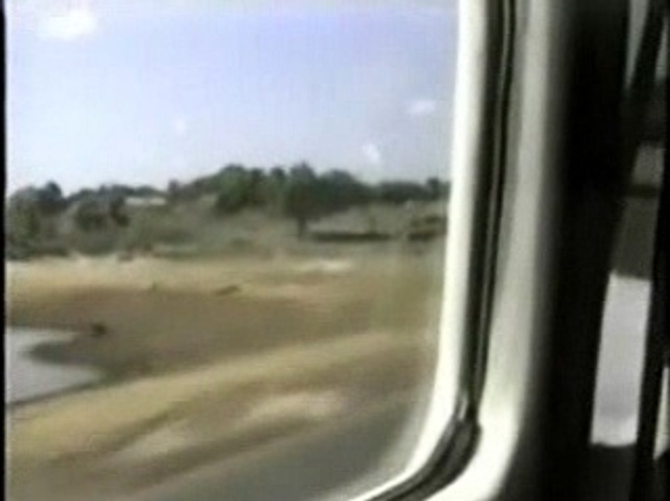 Contatos na Fazenda vinagreira-Piauí