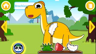 Baby Panda Dinosaur Jurassic World - Kids Learn About Dinosaurs - Educational Game for Kids