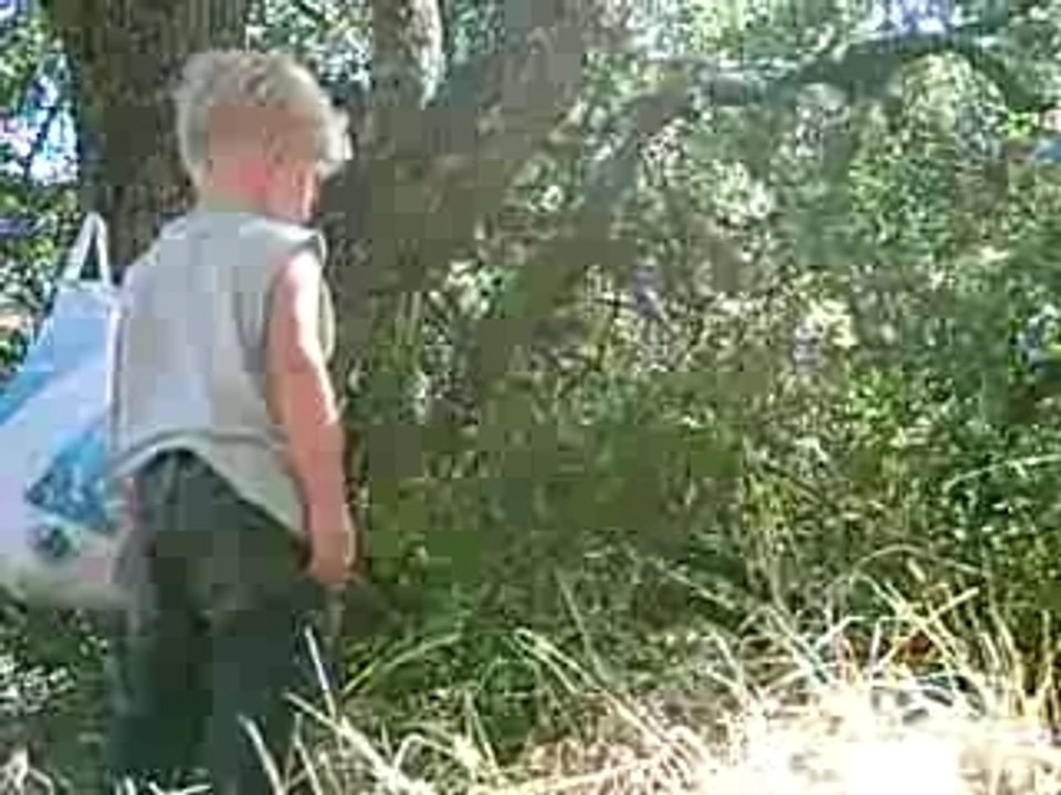 mon ethan et mon mattouille en foret