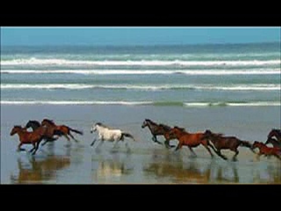 办日本毕业证,九大毕业证,(WeChat:q283214072),办理九州大学毕业证成绩单,Kyushu University文凭diploma代办递交教育部学历认证,毕业证办理