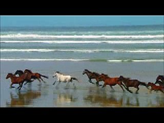 办新西兰毕业证,AUT毕业证,(WeChat:q283214072),办理奥克兰理工大学毕业证成绩单,Auckland University of Technology文凭diploma代办递交教育部学历认证,毕业证办理