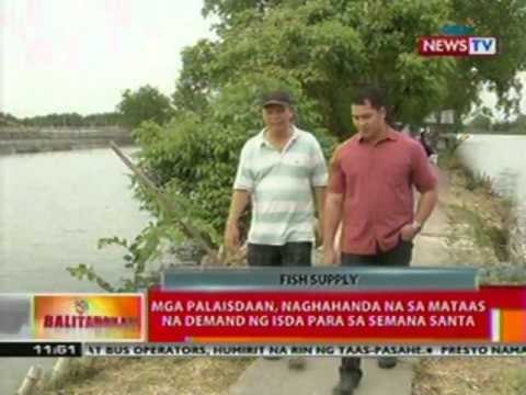 BT: Mga palaisdaan, naghahanda na sa mataas na demand ng isda para sa semana santa