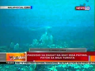 Tải video: BT: Pagsisid sa dagat sa may mga   pating, patok sa mga turista