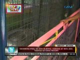 24oras: Swimming pool na may bubong,   videoke at mini-zoo, tampok sa   isang resort