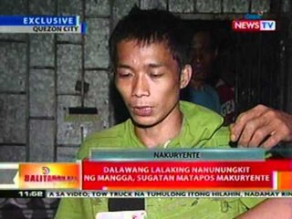 BT:  2 lalaking nanunungkit ng mangga sa   QC, sugatan nang makuryente