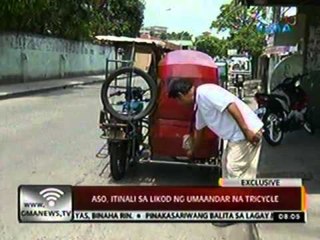 24 Oras: Aso, itinali sa likod ng umaandar na tricycle sa Taytay, Rizal