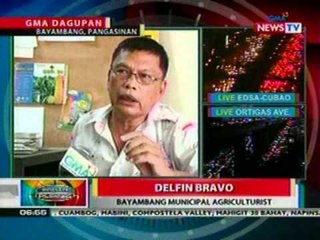 BP: 2 ektaryang maisan sa Pangasinan,   sinunog nga mga magsasaka