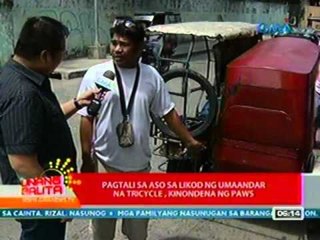 UB: Pagtali ng aso sa likod ng umaandar na tricycle sa Taytay, Rizal, kinondena ng PAWS (032912)