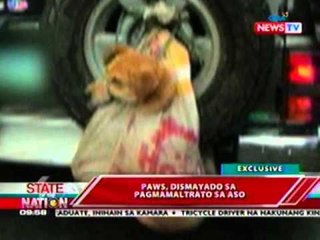 SONA: PAWS, dismayado sa   pagmamaltrato sa aso