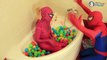 SPIDERMAN vs PINK SPIDERGIRL Orbeetz Ball Pit Bath! w/ Frozen Elsa & Superdog - SUPERHERO Fun IRL :)