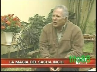 Sacha Inchi - Peru medicina milagrosa