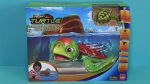 Robo Turtle Playset by Zuru Tortue robot