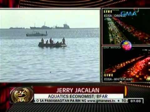 24oras: Daan-daang dolphins at ilang butanding dati nang napadpad sa mga dalampasigan