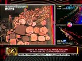 24oras: Mahigit P1-M halaga ng   kahoy, nasabat sa anti-illegal   logging operation