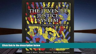PDF [DOWNLOAD] The Juvenile Justice System: Delinquency, Processing, and the Law (8th Edition)