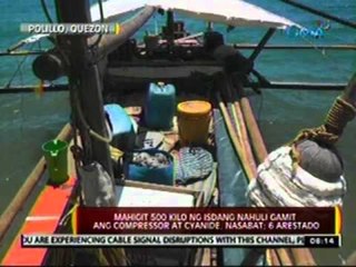 24 Oras: Mahigit 500 kilo ng isdang nahuli gamit ang compressor at Cyanide, nasabat