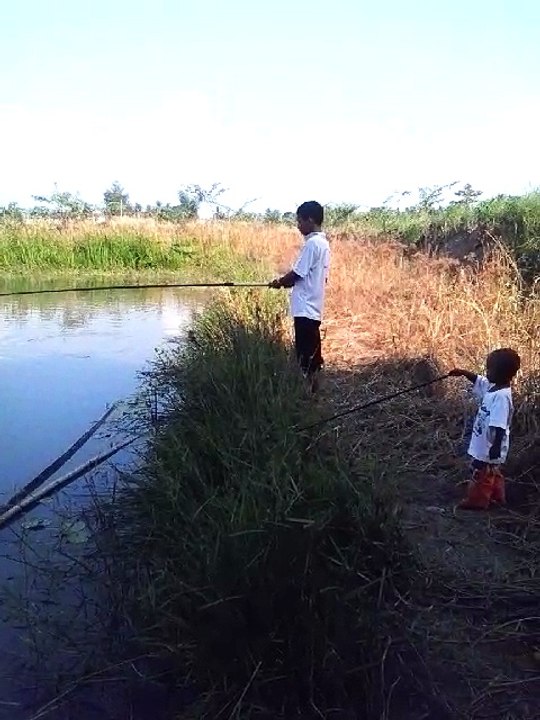 Mancing