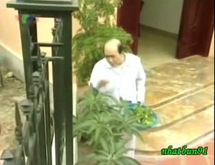 Đừng có mơ Phạm Bằng, Thu Hương, Thanh Dương, Thanh Tú, Nam Cường