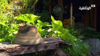 جزر غير مكتشفة | قطعة من الجنة HD