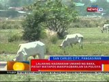 BT: 6-anyos na bata sa Ilocos Norte,   patay nang malunod sa ilog