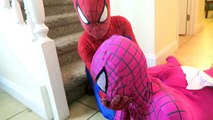 Spiderman vs Joker vs Pink Spidergirl - Shark Prank! - w/ Frozen Elsa - Funny Superheroes