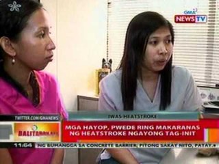 BT: Mga hayop, pwede ring makaranas ng   heatstroke ngayong tag-init