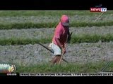 SONA: Magsasaka sa Ilocos Norte, patay matapos tamaan ng kidlat