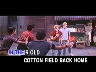 [THE BEST COLLECTION OF LOVE SONGS] COTTON FIELD - VOL 2