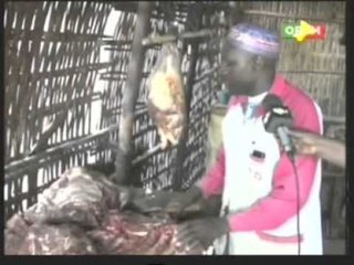 Dossier sur l'Abattoir de Kayes qui existe depuis 35 Ans.Reportage sur les conditions de travaille.