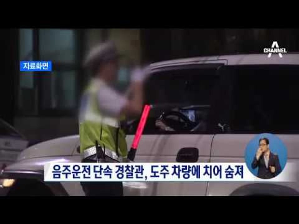 음주운전 단속 경찰관, 도주 차량에 치어 숨져