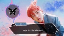 BTS (방탄소년단) – Butherfly [JPN lyric, romaji, eng sub]
